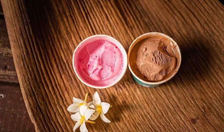 Préparation et vente crèmes glacées Martinique