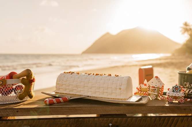 Préparation et vente bûches glacées Martinique