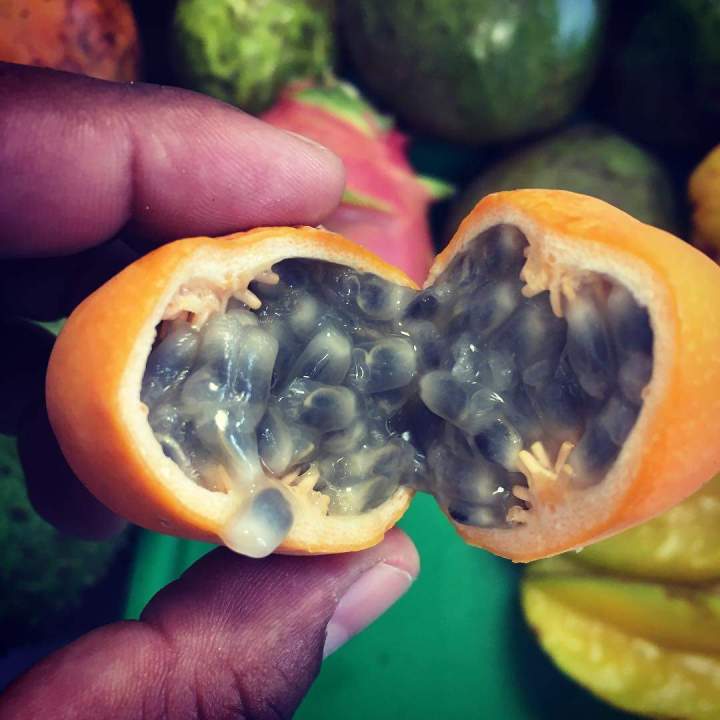 Vente sorbets aux fruits Martinique